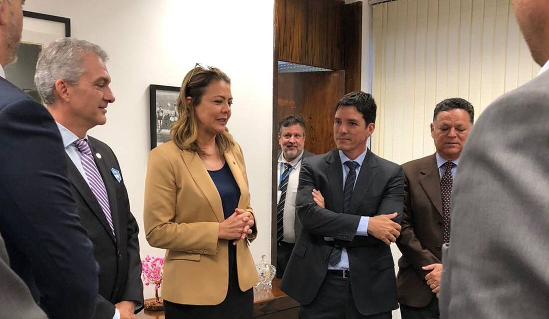 Senadora Leila Barros, em audiência com líderes da construção civil | Fotos: Divulgação